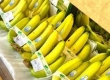 前11月柬埔寨鲜香蕉出口1.63亿美元 同比增长逾17%