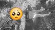 磅通省禁毒行动中，致一警员殉职和另一人受重伤！