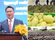 柬埔寨寻求中国简化产品输华程序