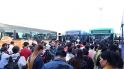 亡人节期间近10万人搭乘免费公交