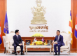 柬埔寨副首相会见韩国大使，称两国合作打击网络诈骗成效斐然 ...