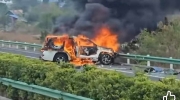 快讯！金港高速公路一辆汽车起火 现场浓烟滚滚