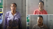 柬埔寨三名女子涉嫌诈骗400人被捕，谎称能帮忙找工作！