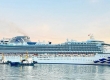 豪华邮轮“钻石公主号”停靠西