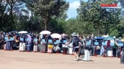 涉嫌非法偷渡和务工，353名外国人被驱逐出境！