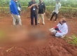 特本克蒙省玉米种植园惊现男尸，疑似中国籍！