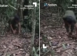 泰国伪造视频指控柬埔寨军队埋设地雷