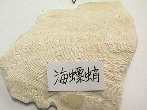 中药（鹿角霜，海螵蛸等等）