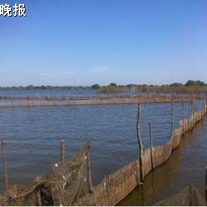 政府重拳出击扫荡非法捕鱼 两天大规模行动清除15处窝点