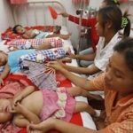 前5月全国发现2541宗登革热病例 造成15名儿童死亡