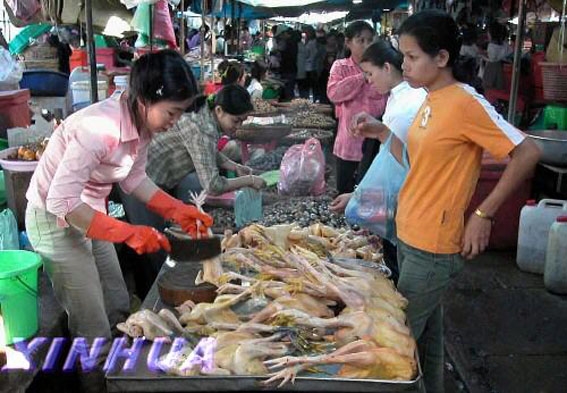 马德望出现1禽流感病例