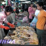 马德望出现1禽流感病例