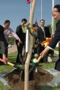 柬森林面积达千万公顷占国土六成 洪森：两木材大享合法砍木 ...