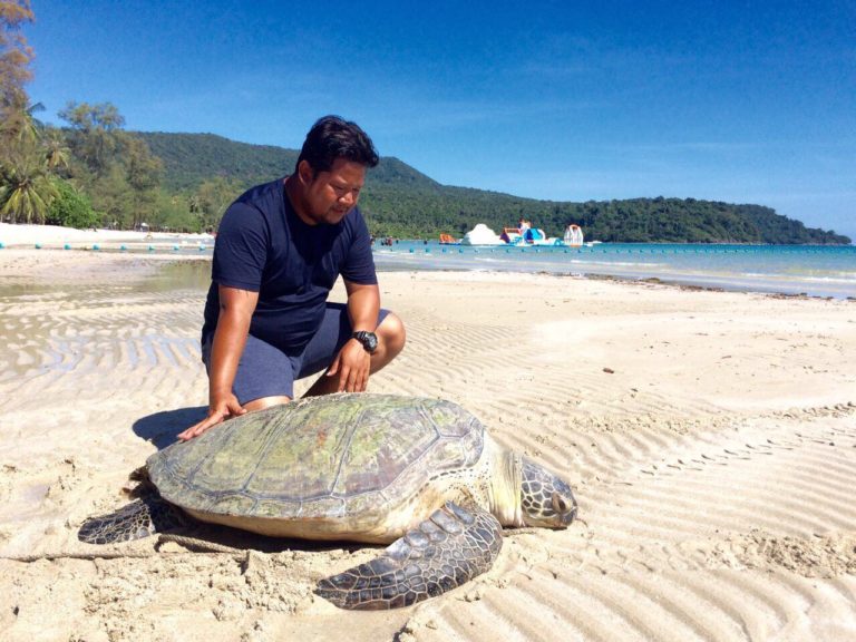 狄伟杰勋爵让187公斤重海龟回归大海。 （柬埔寨星洲日报）