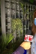 直播：一名男子带着情人过去旅店让朋友强奸直到成功！！！ ...