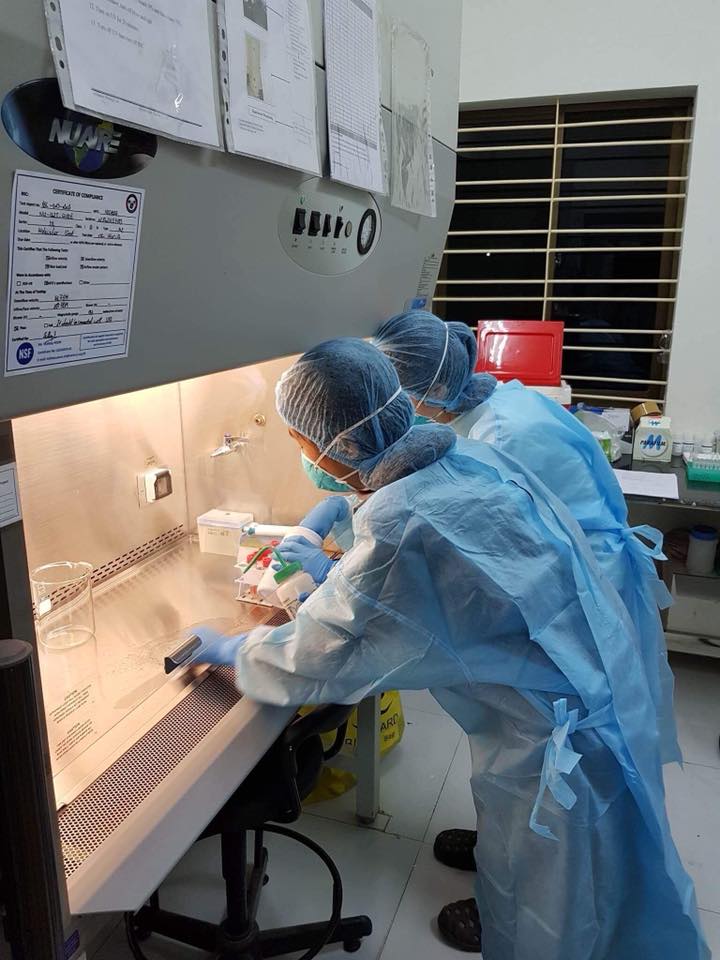 实验室人员化验死鸡。